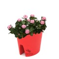 Donica balkonowa na balustradę balpot 30 cm czerwona