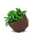 Donica na taras Dione 53 brązowa