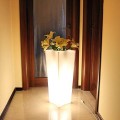 ROSA_podsw_002