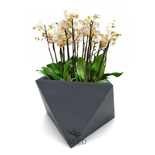 Nowoczesna donica EOS 50 cm antracyt