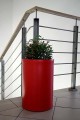 OkraglaDonica_016