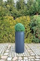 OkraglaDonica_022
