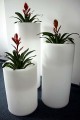 OkraglaDonica_009