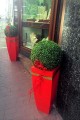DonicaJUNO_010