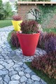 DonicaCURRY_005