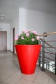 DonicaCURRY_003