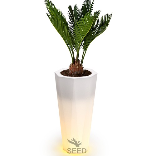 Podświetlana donica LED Octavia 79 cm