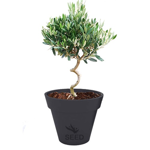 Duża donica Saturn 55 cm antracytowa