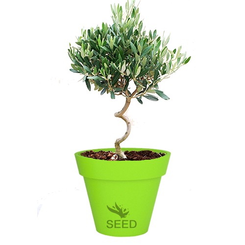 Duża donica Saturn 55 cm limonkowa