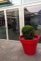 DonicaKlas_003