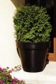 DonicaKlas_004