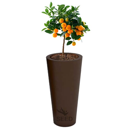 Wysokie donice Venus 70 cm brązowe