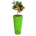 Wysokie donice Venus 70 cm limonkowe
