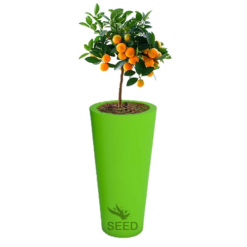 Wysokie donice Venus 70 cm limonkowe