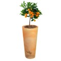 Wysokie donice Venus 70 cm terakota