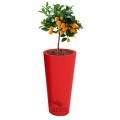 Wysokie donice Venus 70 cm czerwone