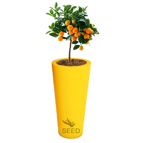 Wysokie donice Venus 70 cm żółte