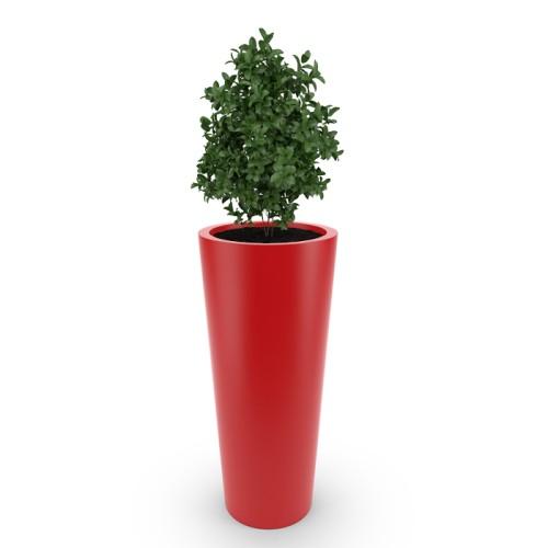 DonicaNeptun_czerwony