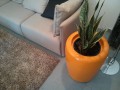 Tracino M orange-2