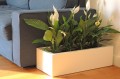 flowerpots KAMA pure - Wall 20