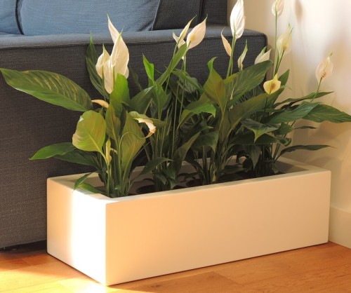 flowerpots KAMA pure - Wall 20