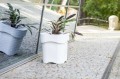 flora_pdconcept_biała_1.jpg