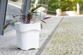 flora_pdconcept_biała_2.jpg