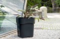 flora_pdconcept_czarna_1.jpg