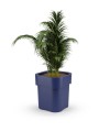 flora_pdconcept_czarna_kwiat.jpg
