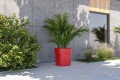 flora_pdconcept_czarna_dom.jpg