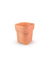 flora_pdconcept_terrakotajpg1004x1200.jpg