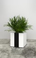 Donica Wagner Planters 3.jpg