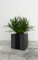 Donica Wagner Planters 4.jpg