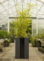 Donica Wagner Planters Classic 16.jpg
