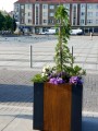 Donica Wagner Planters Classic 14.jpg