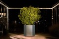 Donica Wagner Planters Classic 11.jpg