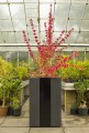 Donica Wagner Planters Classic 6.jpg