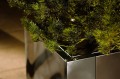 Donica Wagner Planters Classic 13.jpg