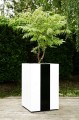 Donica Wagner Planters Classic 22.JPG