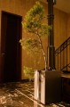 Donica Wagner Planters Classic 20.jpg