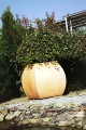 DonicaMARS_003