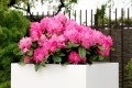 big-flowerpots-KAMA-80x80x80.JPG