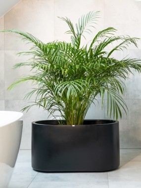 Donica Leto 42h czarna