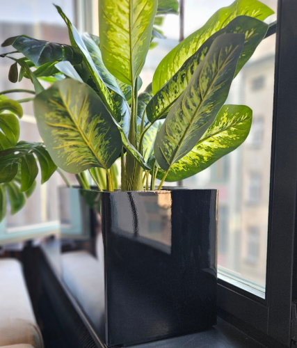 Ciemne Zdjęcie Twórzmy Dobre Wspomnienia Post Instagram (1200 x 1200 px)_20260125_174741_0000.png