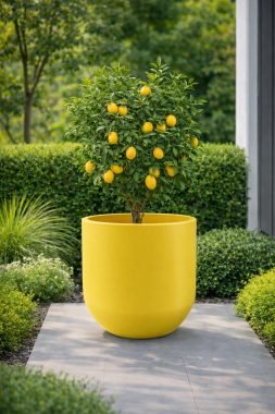 Donica Luna 80 cm cytrynowy