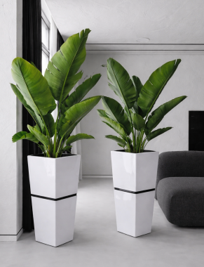 Donica Washington biała wys. 62,5 cm