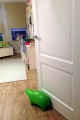 MisPolarny_002