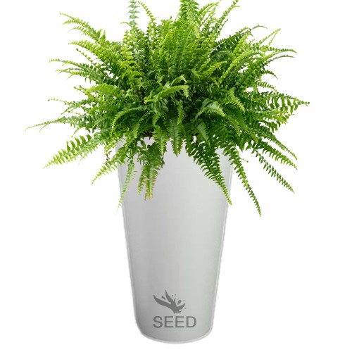 Duża biała donica ogrodowa