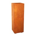DonicaALTO1_A