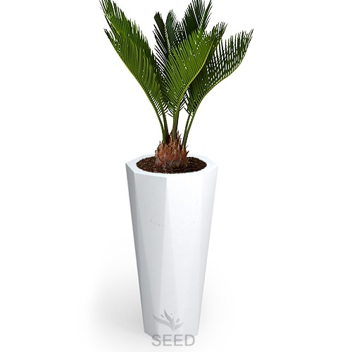 Wysoka biała donica na taras